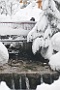 RussbachB10_154